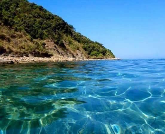 La Collina Sul Mare Bed & Breakfast Палма де Монтекиаро Екстериор снимка